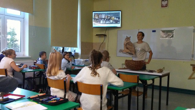 O życiu sów - Obrazek 1